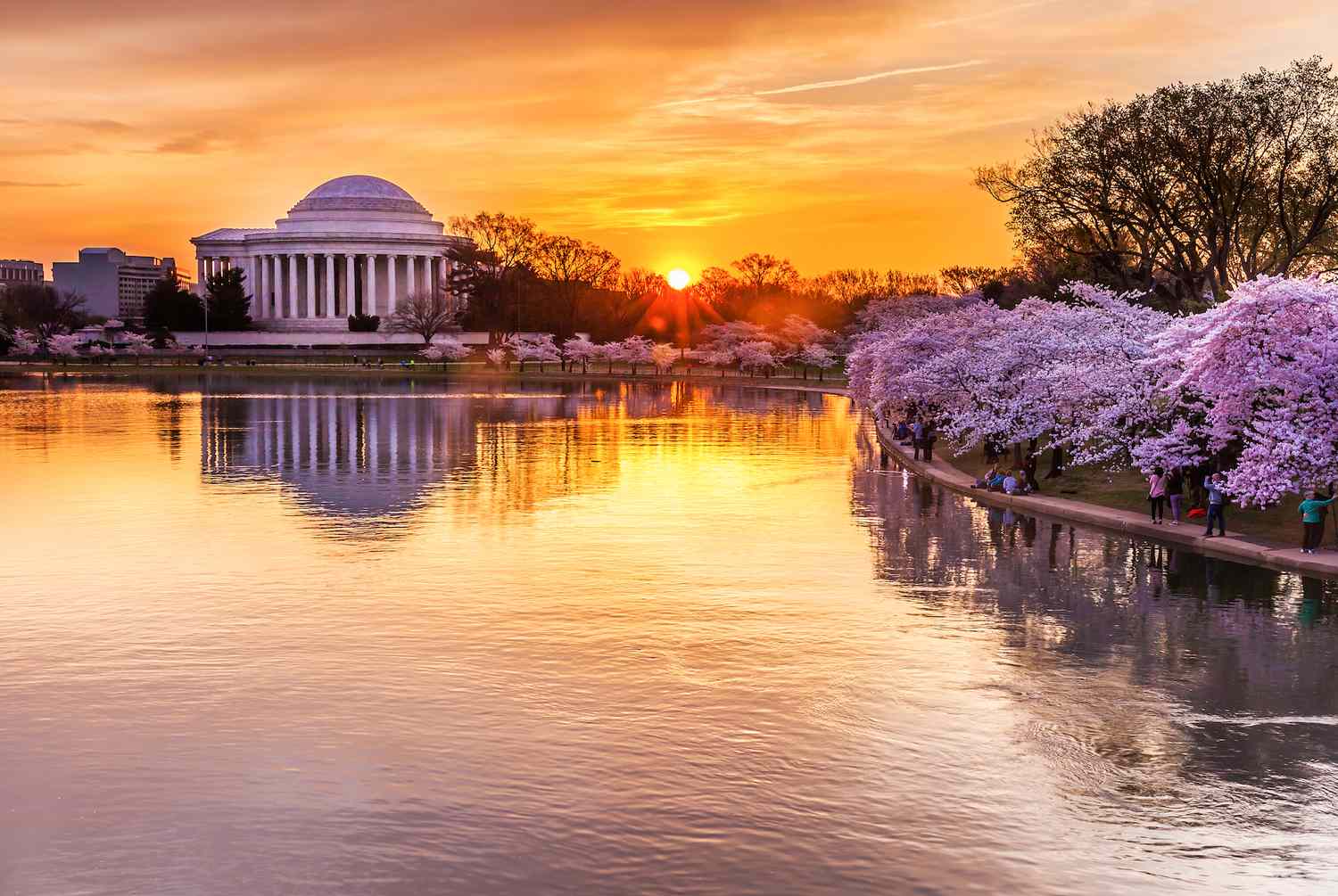 April Festivals und Veranstaltungen in Washington, DC