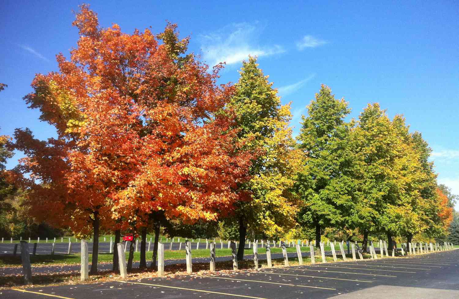 Das beste Herbstlaub fährt und Zugfahrten in Michigan
