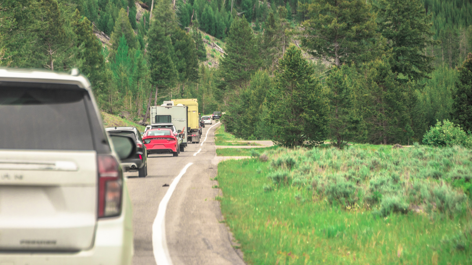 4 überfüllte US-Nationalparks, die im Jahr 2026 ihre Reservate abgeschafft haben
