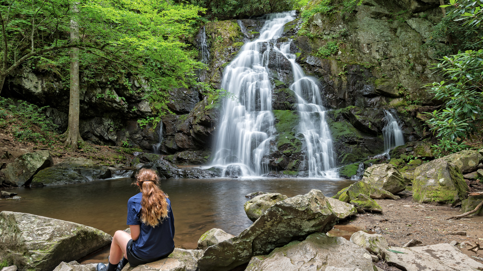 Amerikas meistbesuchter Nationalpark ist ein herrlicher Zufluchtsort für Naturliebhaber
