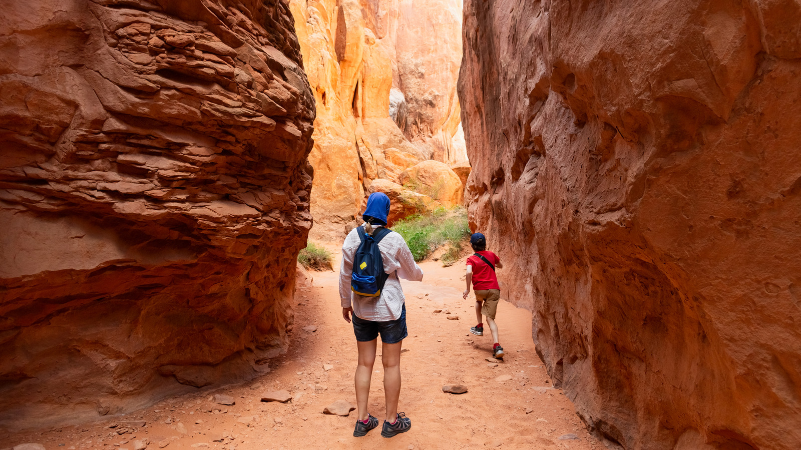 Dieser spektakuläre Nationalpark in Utah bietet einzigartige Wanderungen für abenteuerlustige Reisende