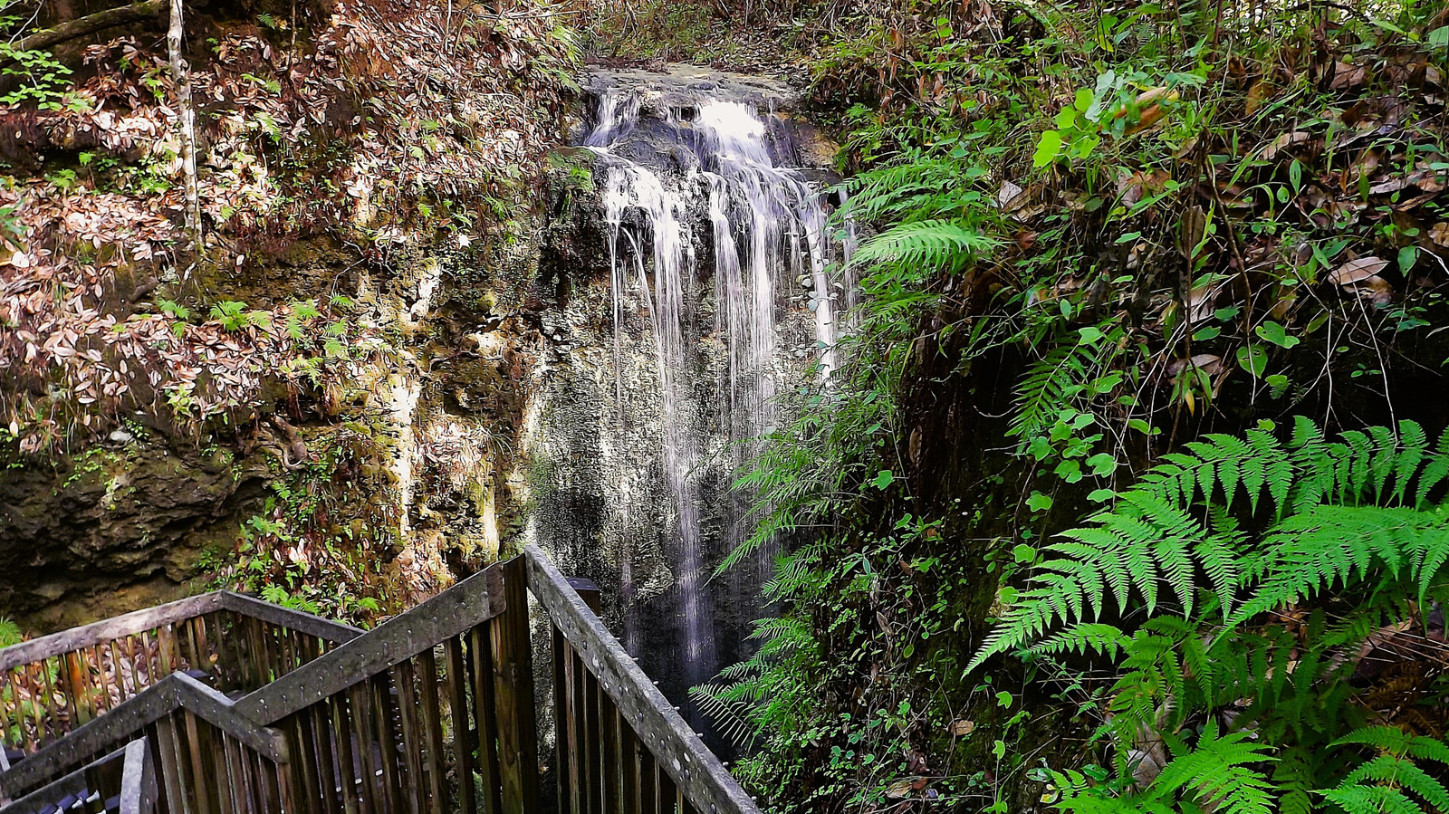 Floridas höchster Wasserfall ist in diesem atemberaubenden State Park zu sehen