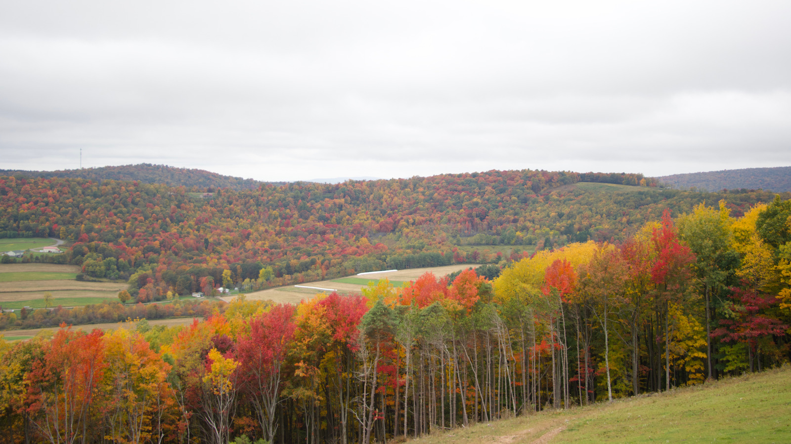Marylands neuester State Park, ideal für Bergcamping, wird bald eröffnet