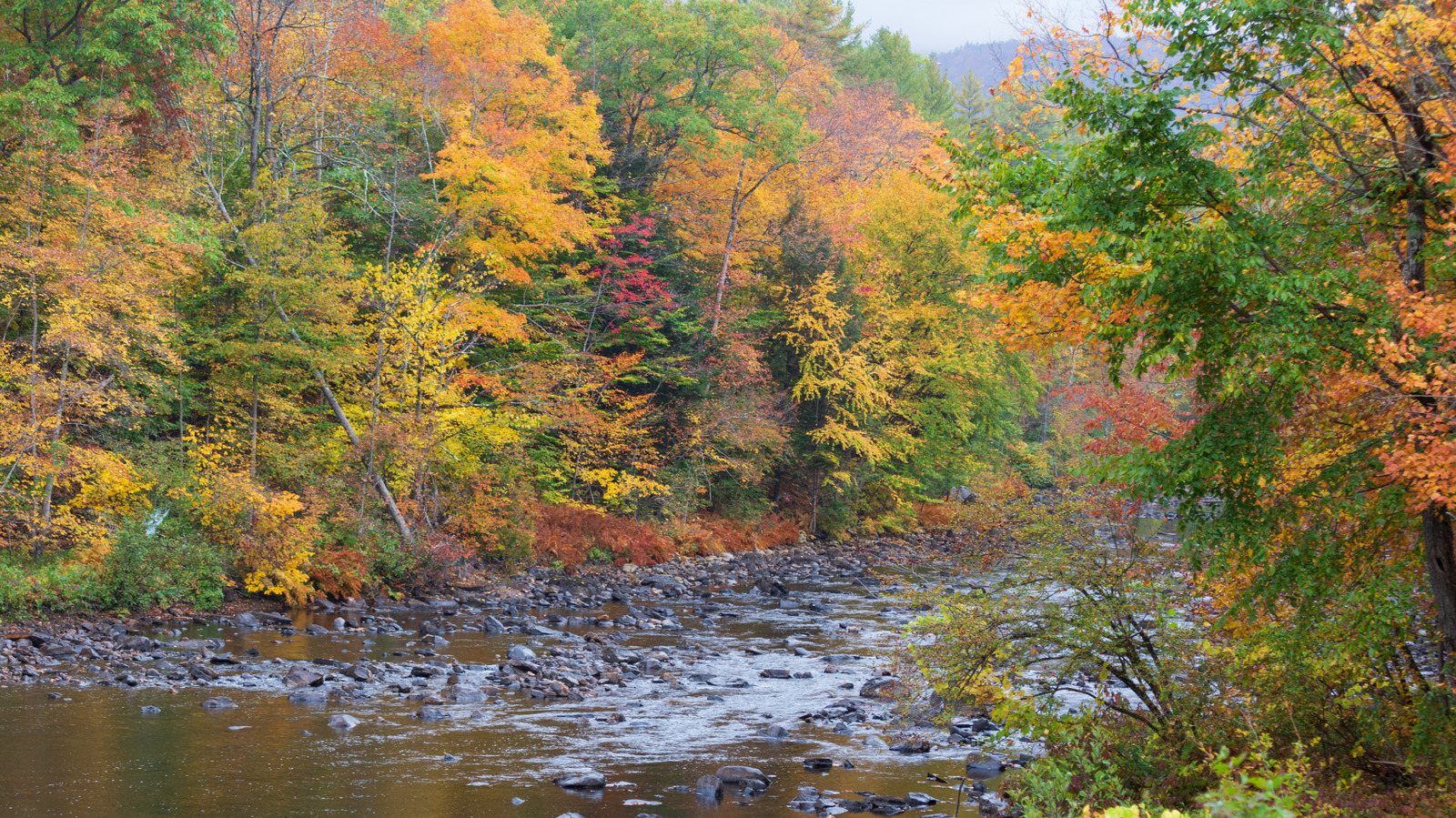New Yorks „Ganzjahres-Urlaubsland“ ist eine unterschätzte Adirondack-Stadt voller Outdoor-Spaß