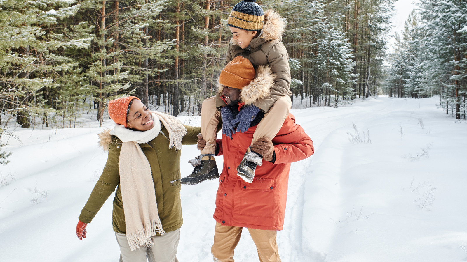 North Dakotas malerischer Naturpfad verwandelt sich in ein verschneites Winterwunderland