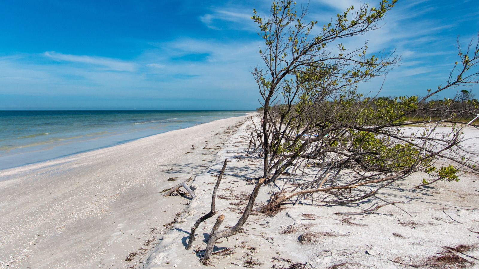 Einer der besten US-Strände des Jahres 2026 ist Floridas Pristine Island State Park