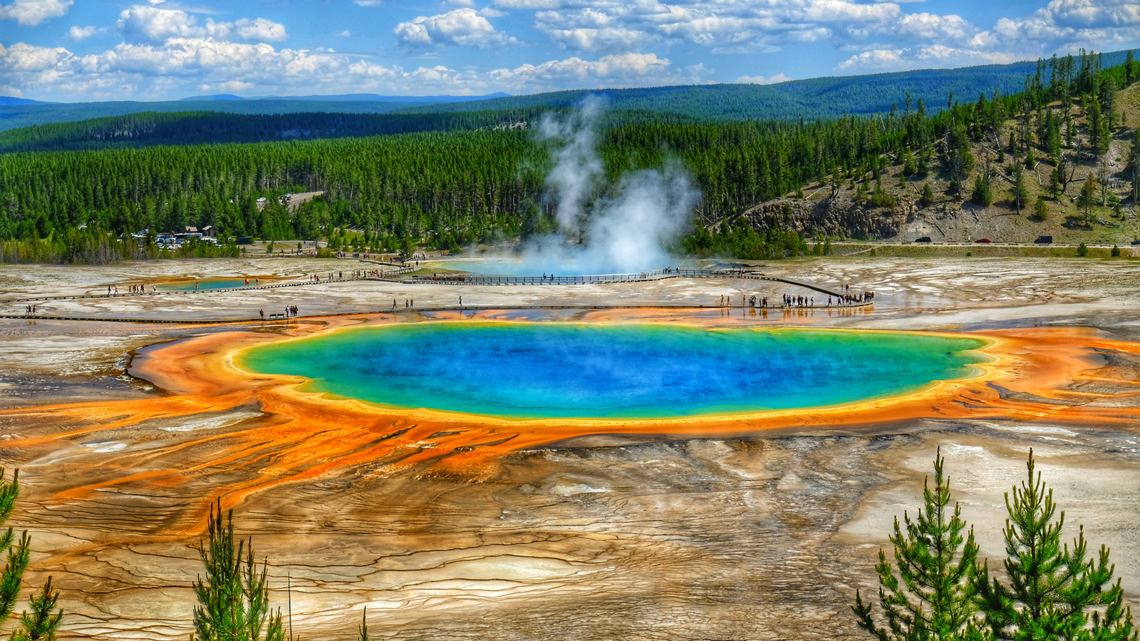 Sollten Touristen über die überraschende Entdeckung von Wissenschaftlern im Yellowstone besorgt sein?