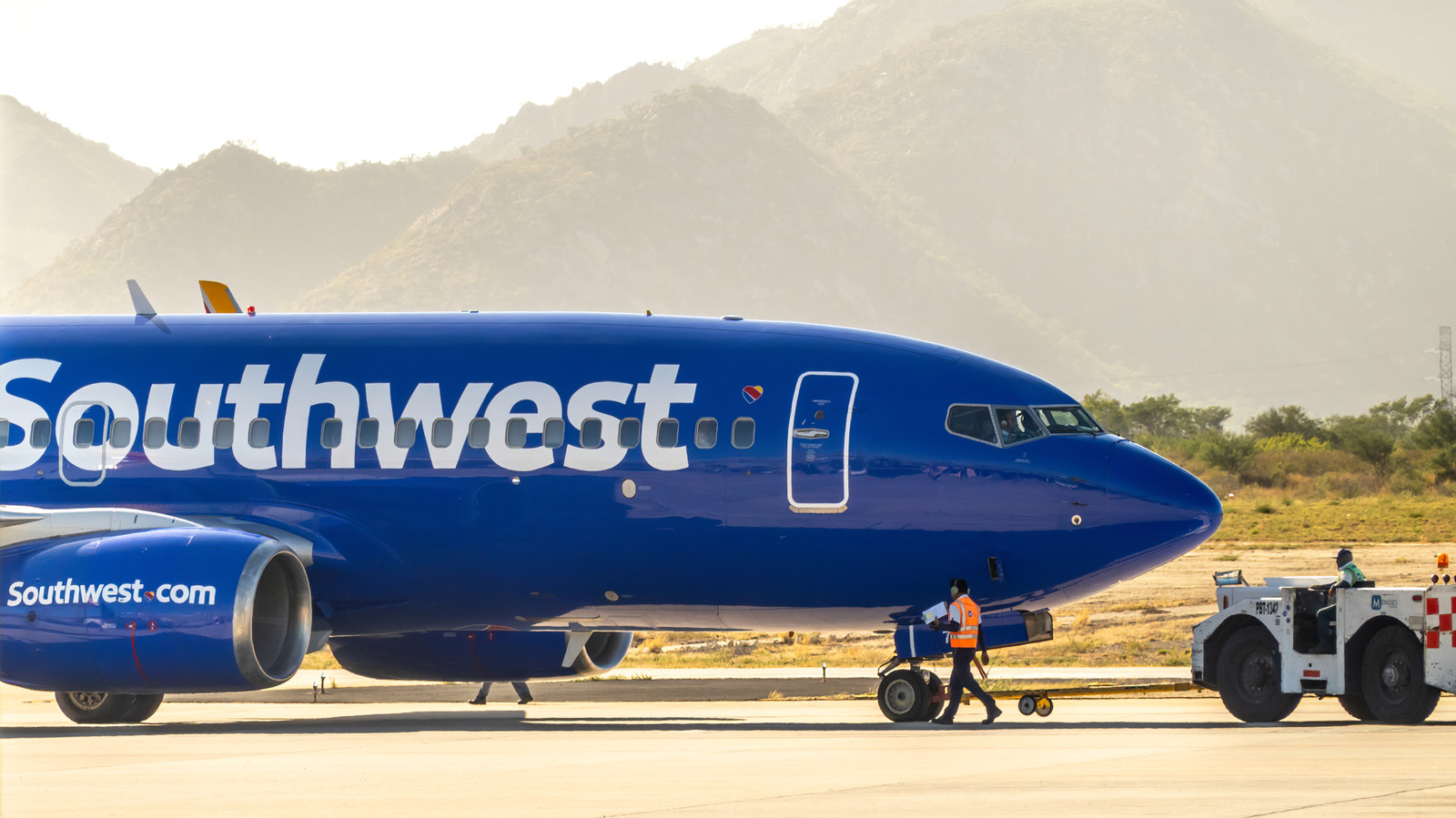 Southwest Airlines verbot diese „menschenähnliche“ Technologie, nachdem ein Flug viral ging