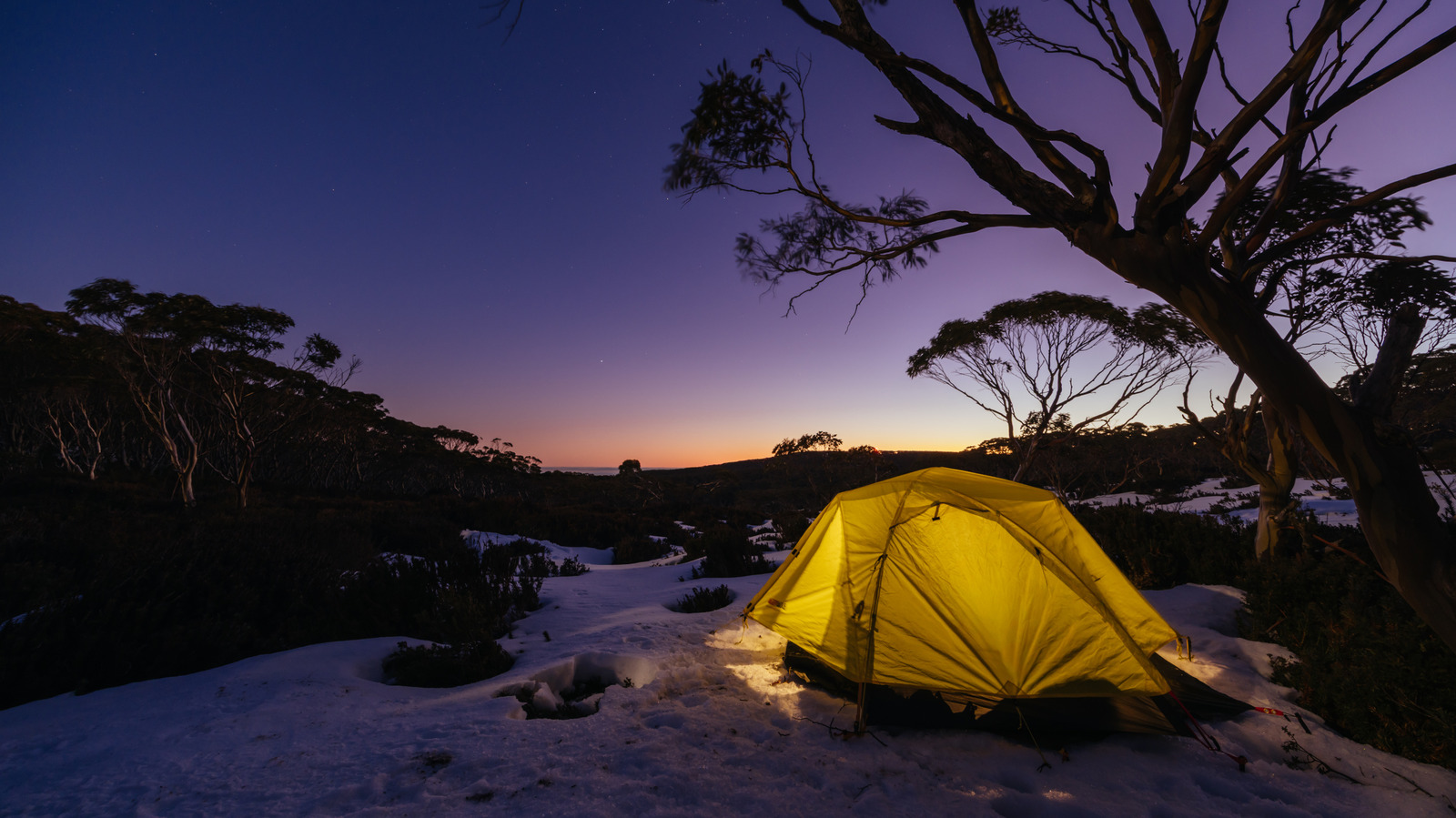 Das beste Campingziel der Welt ist ein einzigartiges Land mit einer einzigartigen Tierwelt