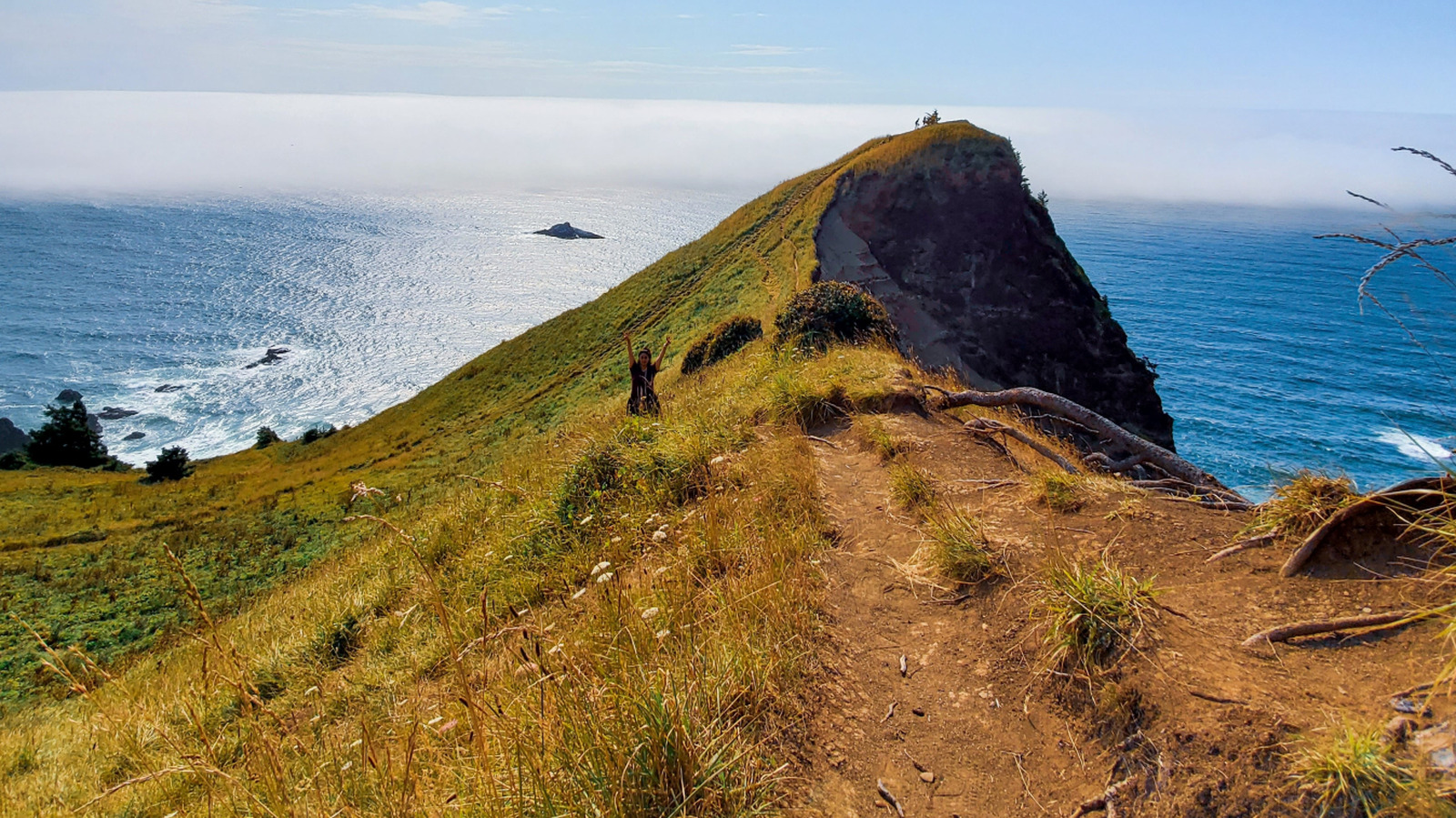 Laut Forschung die schönsten Wanderwege entlang der Küste von Oregon