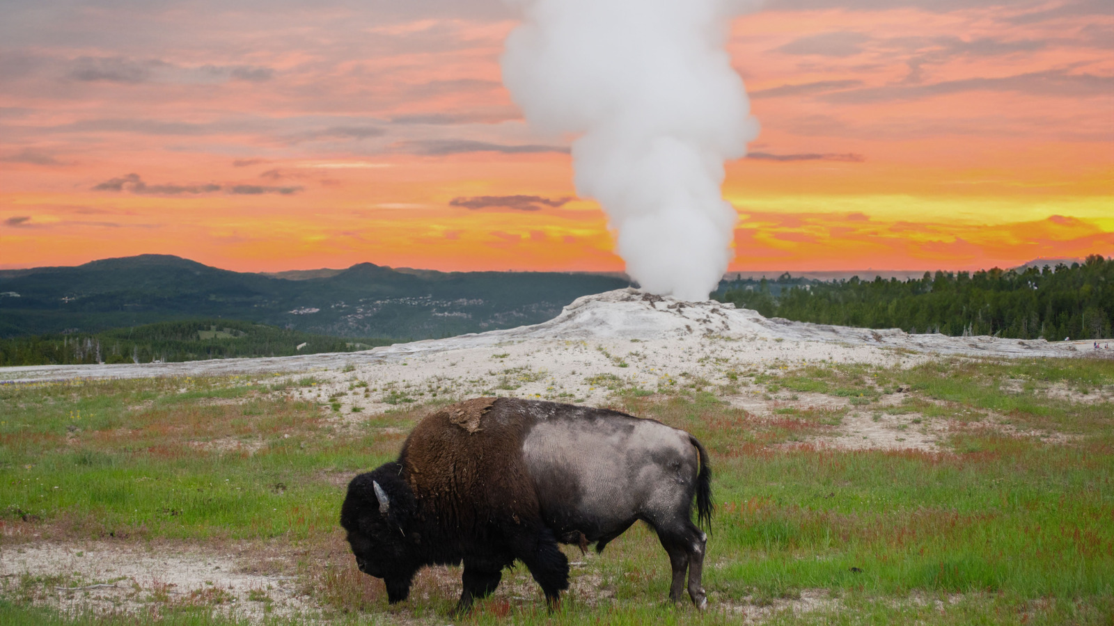 Der erste Nationalpark der Welt ist ein faszinierendes Reiseziel für Naturliebhaber