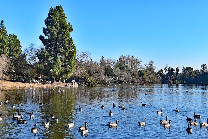 Parks in Fresno, CA